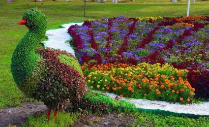 Daugiamečių gėlių lovos „pasidaryk pats“ - sukurkite gražų gėlių sodą