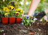 Att skapa en blomsterträdgård är en av formerna för kreativt självuttryck