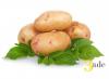Why don't potatoes actually make you fat?