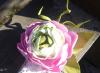 Foamiran kezdőknek: mesterkurzus rózsák készítéséhez műanyag velúrból saját kezűleg