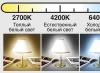 Comparison of LED and energy-saving lamps