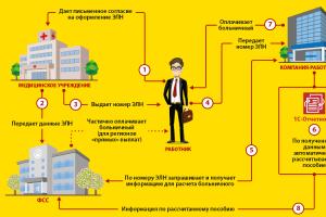 Фонд социального страхования, его предназначение