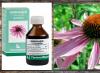 Echinacea tinktur - bruksanvisning, hur man tar det korrekt och vad som hjälper