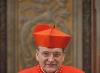 Kardinolai ir politikai Romos katalikų bažnyčios kardinolai