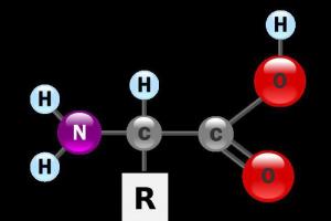 Acidobazické vlastnosti aminokyselin