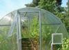 Agrotechnics for growing tomatoes in a greenhouse
