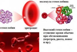 Magas hemoglobinszint a nőkben: a hatékony kezelés okai és módszerei