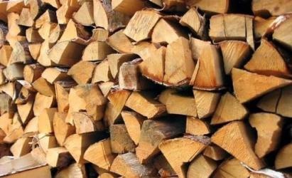 What kind of firewood should I use for the stove?