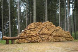 Calorific value of firewood from different types of wood