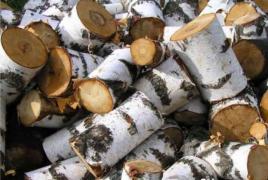 Jak vybrat palivové dřevo do sauny