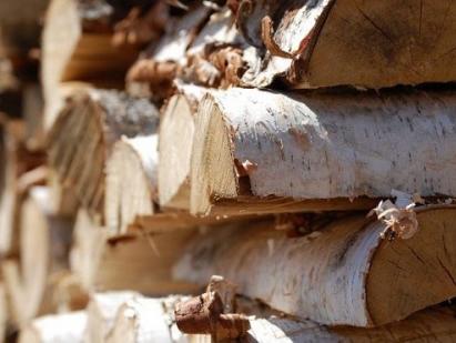 What kind of firewood is best to heat a house?